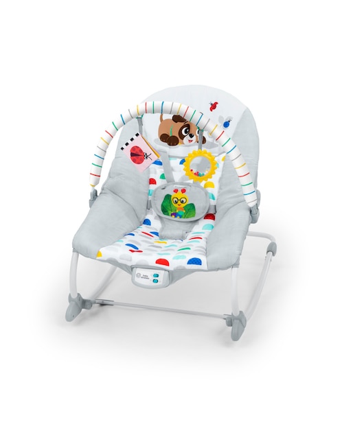 Bouncer Babyeinstein Seats