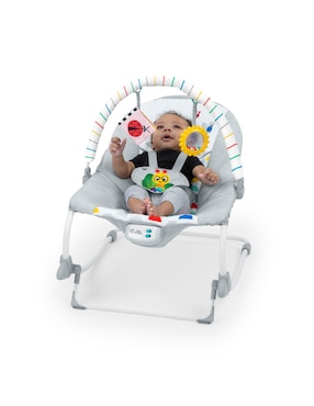 Bouncer Babyeinstein Seats
