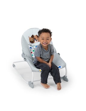 Bouncer Babyeinstein Seats