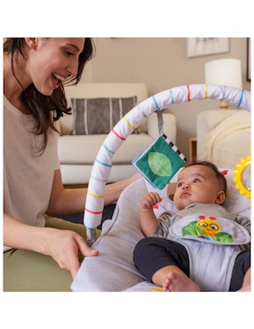 Bouncer Babyeinstein Seats