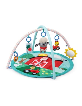 Gimnasio Babyeinstein