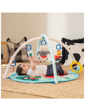 Gimnasio Babyeinstein