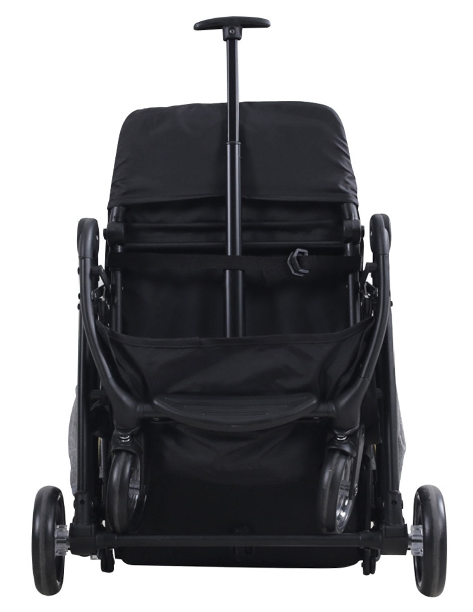 Carriola estándar plegable 5
